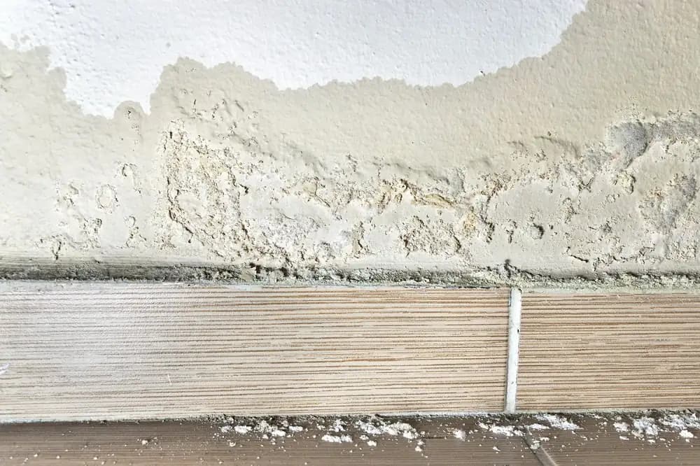 Rising damp damage to an internal wall