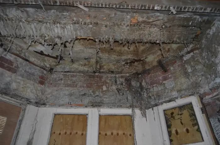 Dry rot damage exposed in structural timber