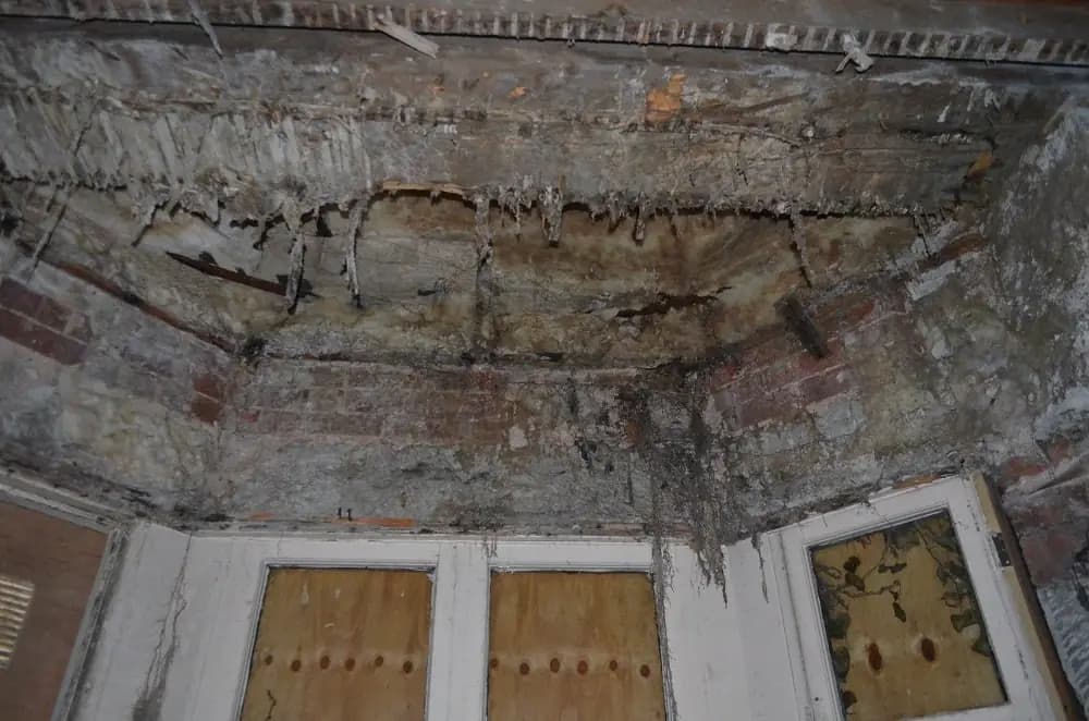 Dry rot damage exposed in structural timber